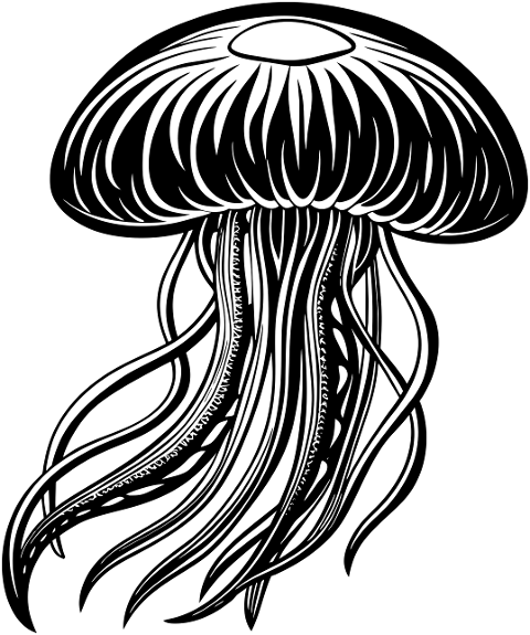 jellyfish-tentacles-animal-aquatic-8853369