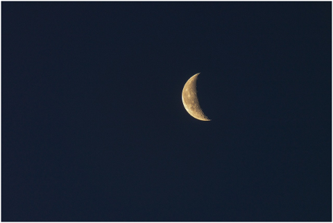 half-moon-moon-lunar-astronomy-4900317