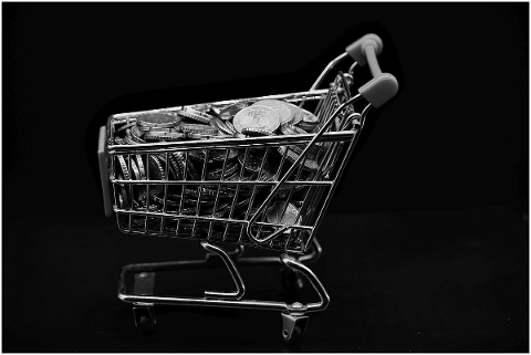 shopping-cart-s-w-coins-miniature-5196909
