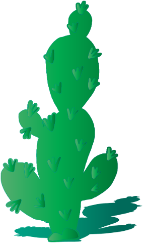 cactus-shadow-saguaro-nature-4764193