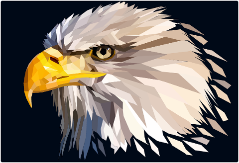 eagle-animal-low-poly-bird-head-5798326