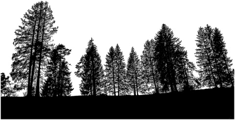 trees-landscape-silhouette-plant-4719273