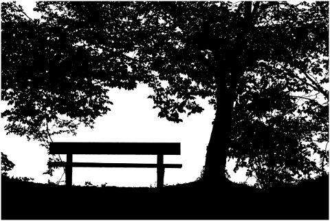 forest-trees-silhouette-branches-5143125