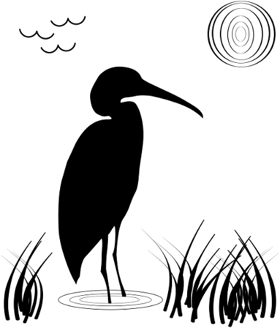 silhouette-bird-seagull-animal-5464569