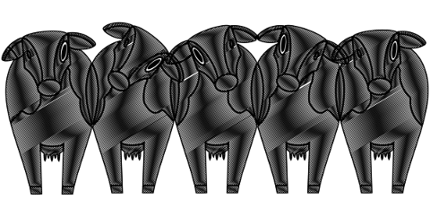 cows-line-art-cow-bull-animal-5729876