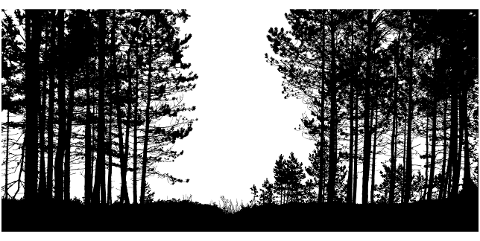 trees-landscape-silhouette-forest-4534005