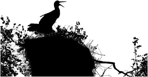 stork-bird-silhouette-animal-nest-4234069