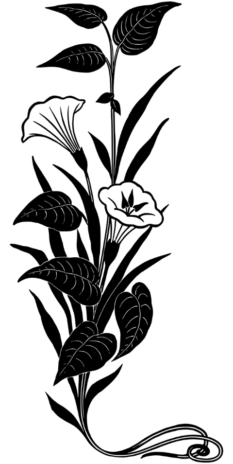 flower-flourish-art-nouveau-plant-7460072