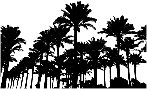 trees-landscape-silhouette-plant-5081326
