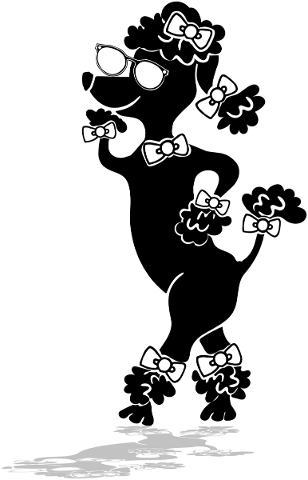 poodle-cute-silhouette-dog-pet-5049079