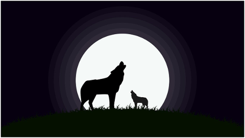 fullmoon-wolf-moon-wolves-night-4845124
