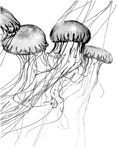 medusa-in-dash-medusa-mar-4925085