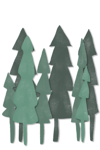 tree-christmas-tree-christmas-4633770
