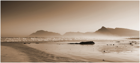 beach-kelp-seaweed-sea-ocean-5109710