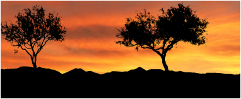 sunset-nature-trees-landscape-4660114