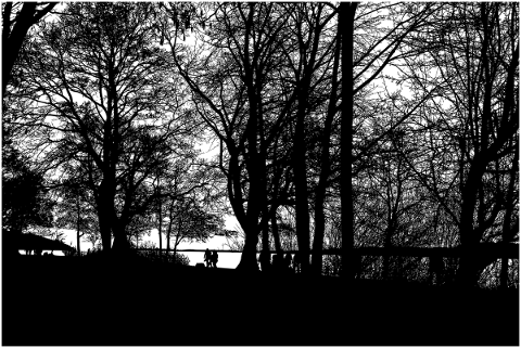 trees-landscape-silhouette-lake-5118475