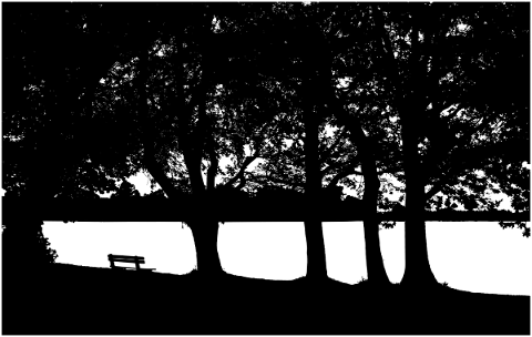 forest-trees-silhouette-lake-5207120