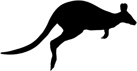 kangaroo-australia-silhouette-5220701