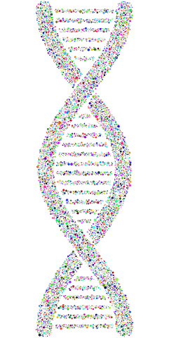 dna-helix-circles-4043148