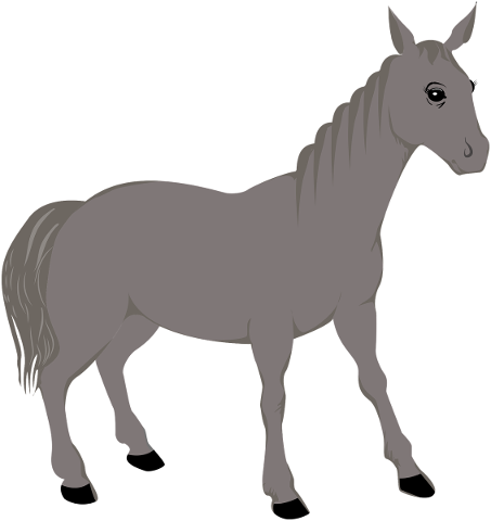 animal-horse-icon-equine-mammal-5821708