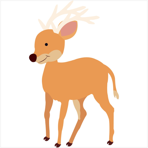 animal-deer-nature-wildlife-wild-5119676