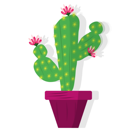 cactus-plant-pot-botany-gardening-5715165