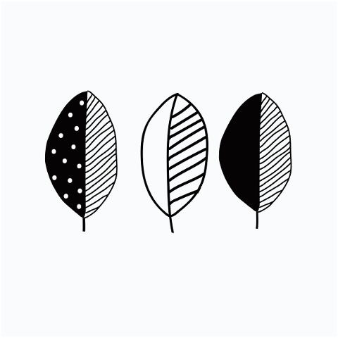 leaves-doodle-line-art-plant-5771440