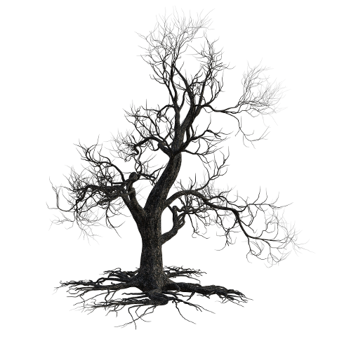 dead-tree-scary-halloween-nature-4567469