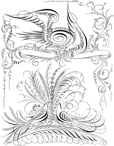 birds-flourish-decorative-4954819