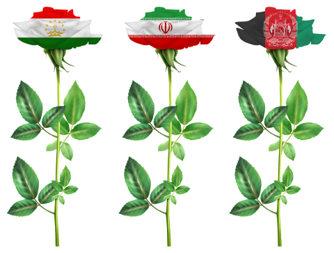 rose-iran-tajikistan-afghanistan-4927439