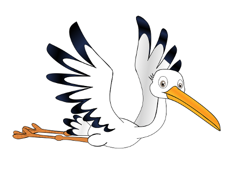 stork-pregnant-sky-rattle-stork-4482239