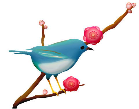 blue-bird-sakura-branch-4299921