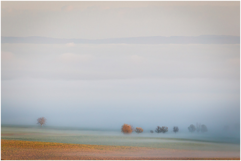 fog-landscape-nature-trees-haze-4666049