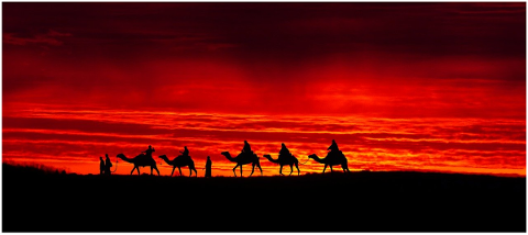sunset-orange-dune-caravan-camels-5083599