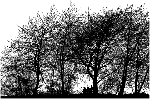 tree-landscape-silhouette-plant-5081240