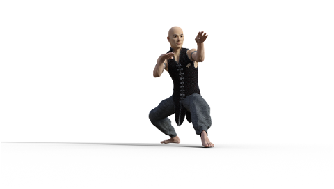 kung-fu-martial-arts-pose-fighter-4938604