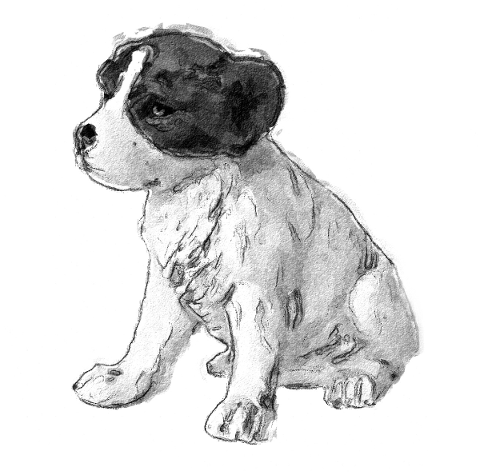 dog-sketch-painting-beagle-4707206