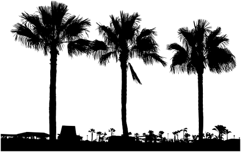 trees-landscape-silhouette-plant-5188600