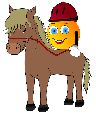 strange-reiter-equestrian-helmet-4490554