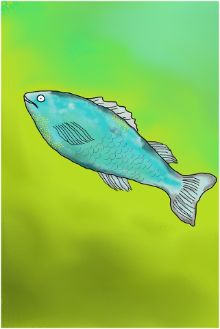 fish-vis-drawing-sea-nature-water-4881603