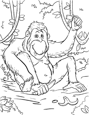 rainforest-coloring-pages-4409486