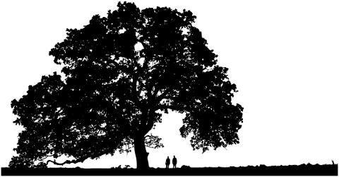 tree-landscape-silhouette-plant-5371804