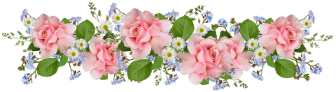 flowers-pink-roses-daisies-5339352