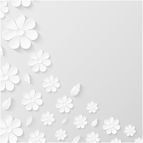 paper-flower-background-white-4794429