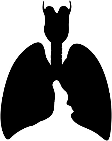 lung-organ-breath-health-5336184