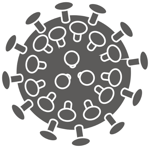 corona-virus-sars-cov-2-covid-19-4944186