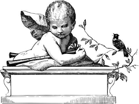 cherub-child-line-art-bird-5240321
