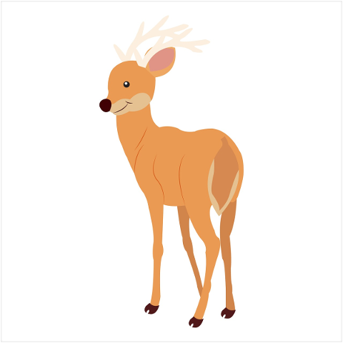 animal-deer-nature-wildlife-wild-5119678