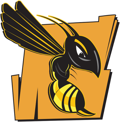 wasp-bee-hornet-insect-honey-4810610