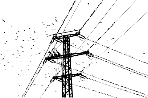 birds-pylons-silhouette-landscape-4607095